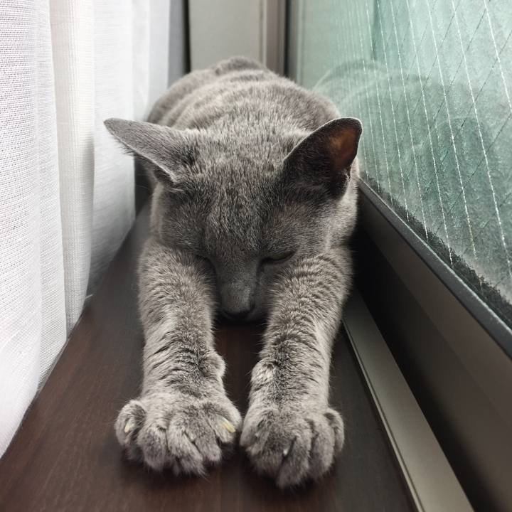 F75f6575 6cec 400d b05f d42f7b582d4c