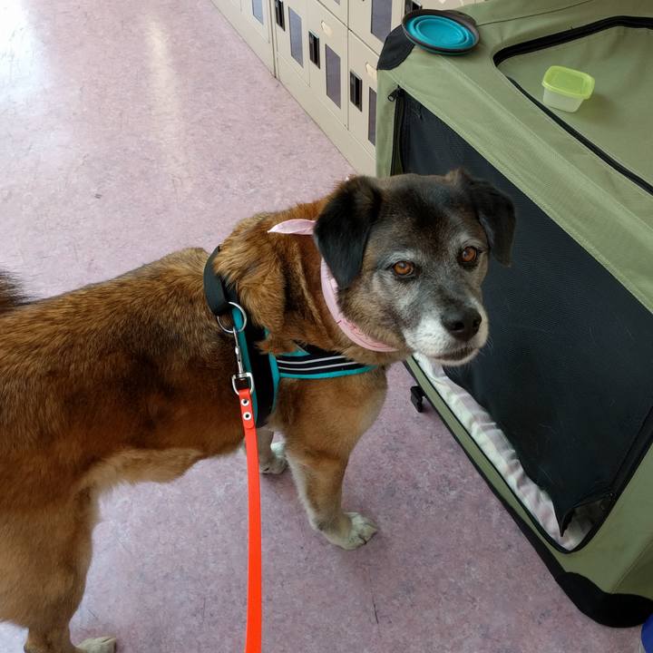 F75f6f62 9676 411d 9a09 452c380bcb02