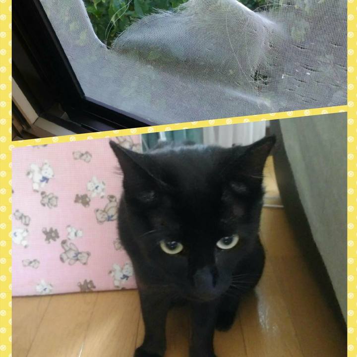 F75f9b50 bc33 4679 b268 812de1954167