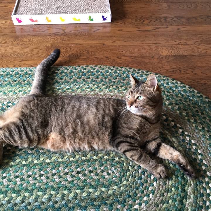 F760011e 9b58 47e3 a7e6 7aafea0778ad