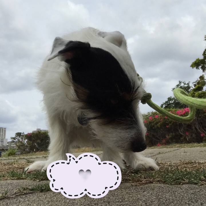 F7601640 b5a7 4375 8d9a b51e2e62d116