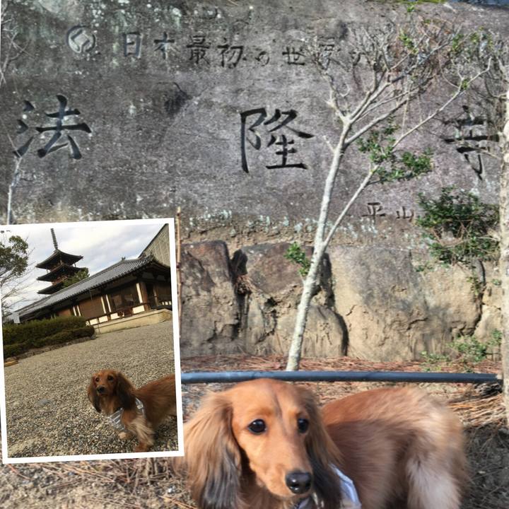 F760e445 7844 4ae4 b1c0 06ac08edc88a