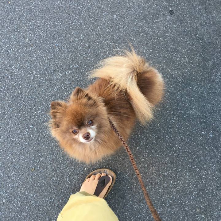 F761268a 27c9 4daa a7ef c2719222a309