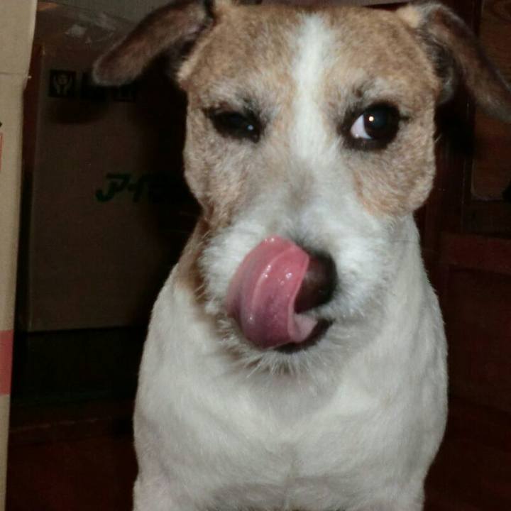 F7615273 749f 497c 947b 448b0bac5ff4