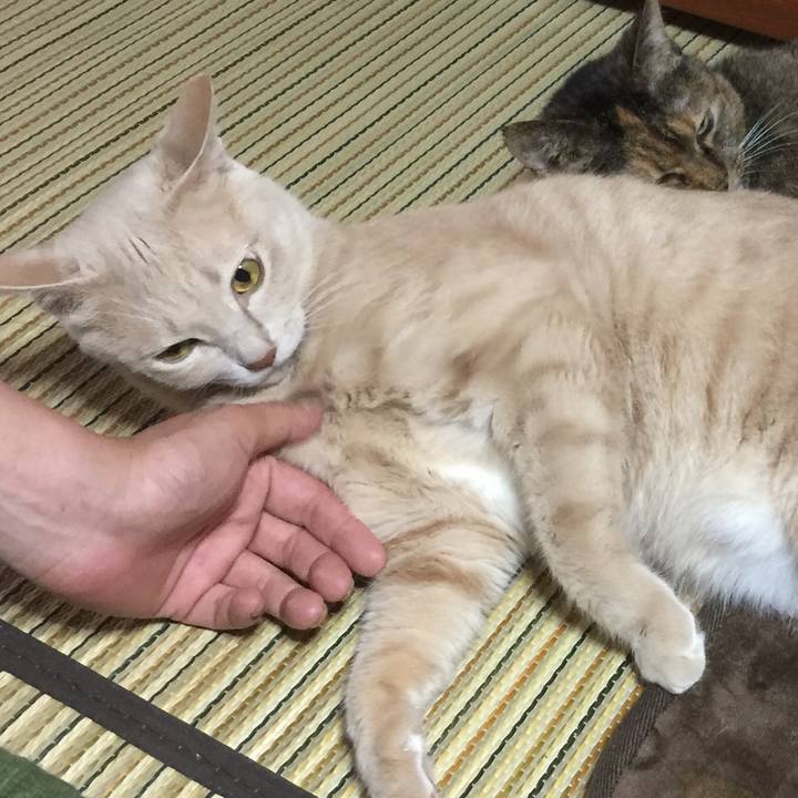 F7619af1 3569 4d66 9482 258d10914d9d