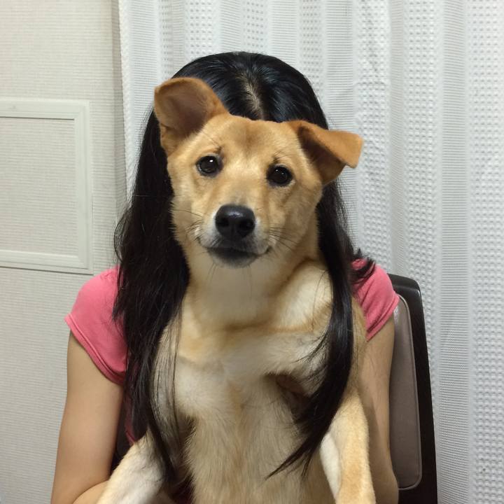 F761b107 cc48 4c0c 986e 407de3a08f23