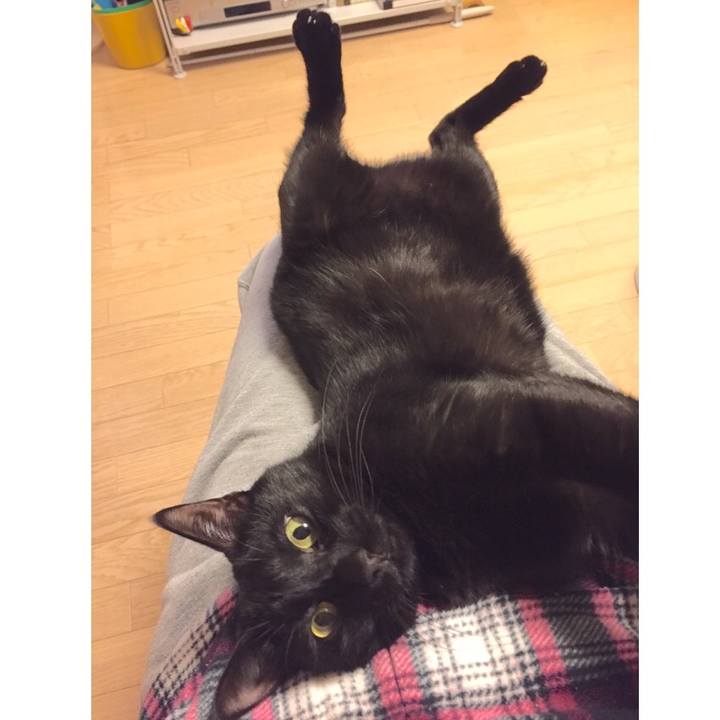 F76227b5 a5f8 4288 b35e b46667e252c8