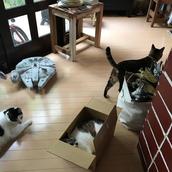 F7623eb2 c956 4e3e a3e6 c716818e7797