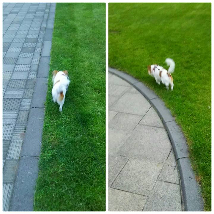 F7628511 5fcb 41ce 86cd 80817f27b851