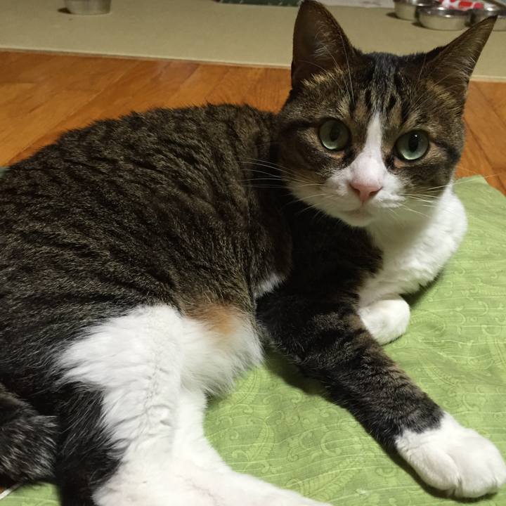 F762afd3 e7fc 4890 8723 2f244dabb771