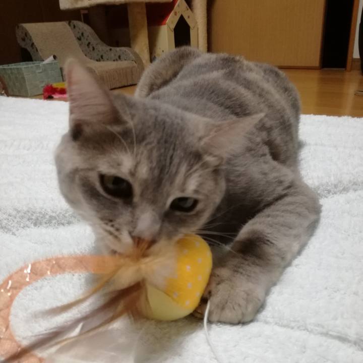 F762c8b7 90da 4439 896d ab38b87473f0