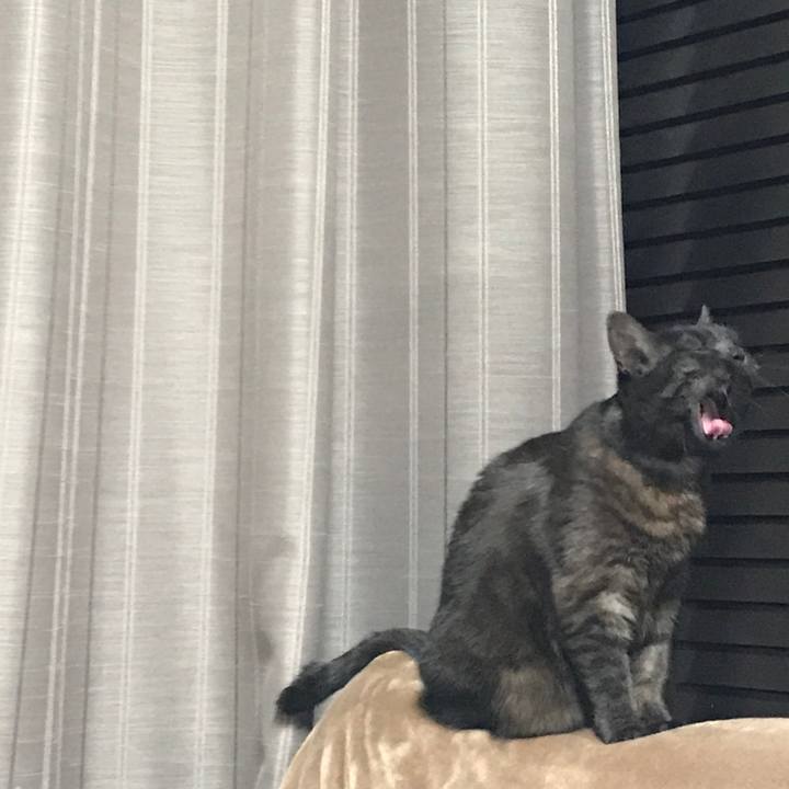 F762daf0 01b0 4a22 99f7 ea5800e88f87