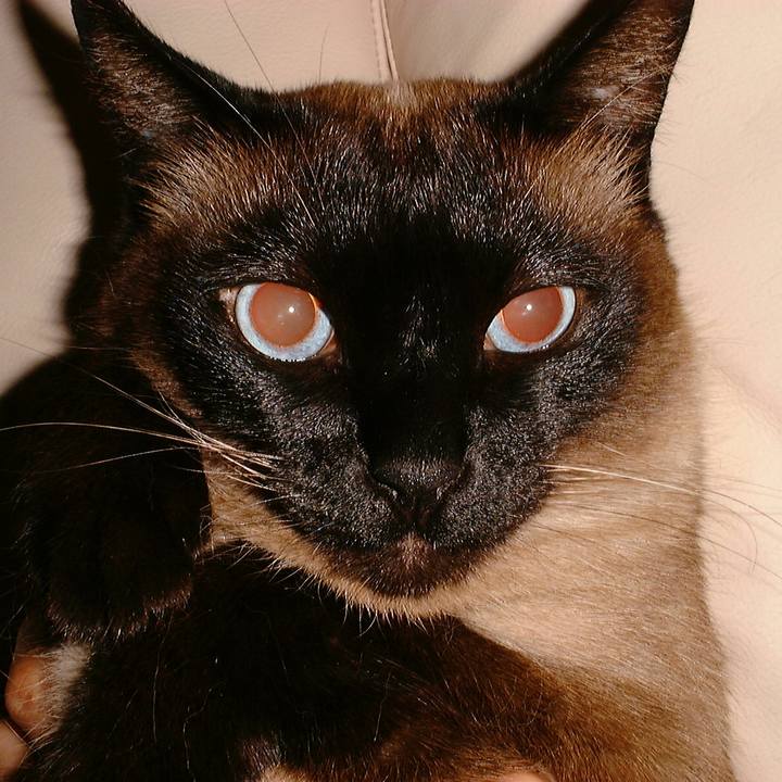 F762ea83 6915 499a 9f81 eb8ba09aa7d2