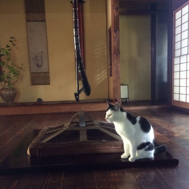 F7630a97 2a64 4197 8454 67f9f24a14d3