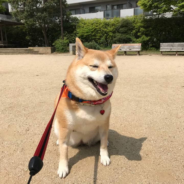 F7630f95 3dbe 4c6c a83f b2e00b084e30