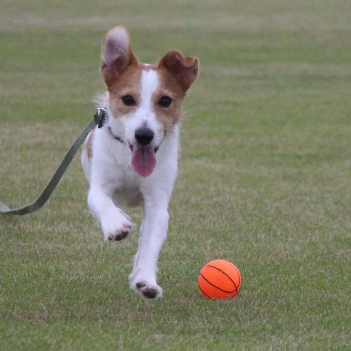 F763a6fe 15a5 489d 9996 54d538c29ccd