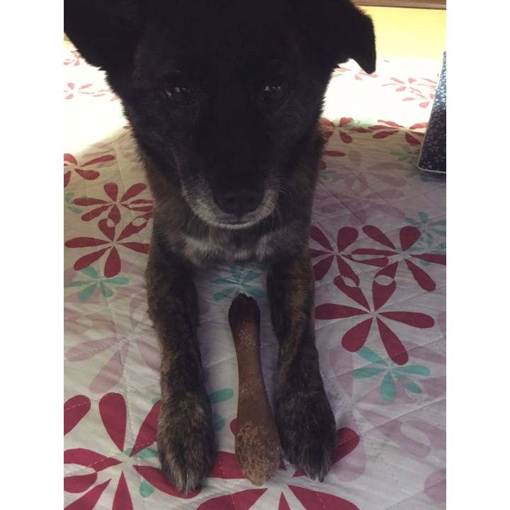 F7643eca 6fcb 45f2 a51c 4dec350b8f37