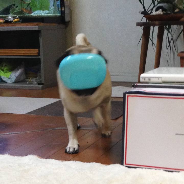 F764b985 5ecf 44ba b32b 1ee81dd2cf59