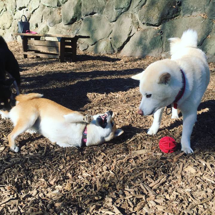 F764c2b3 6193 4165 9c38 2a6090463f9e