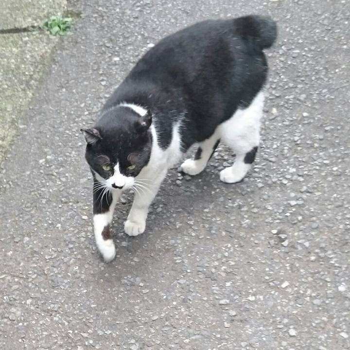 F7650427 b306 4817 ac6b b1cd2b08173d