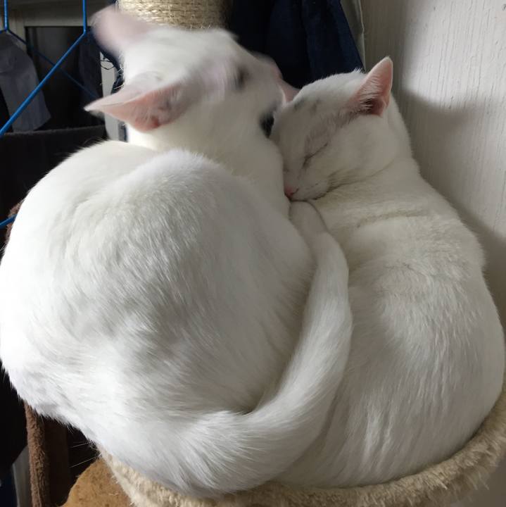 F76565aa 51d4 43ce 9cfd 4ed8d90c80e2