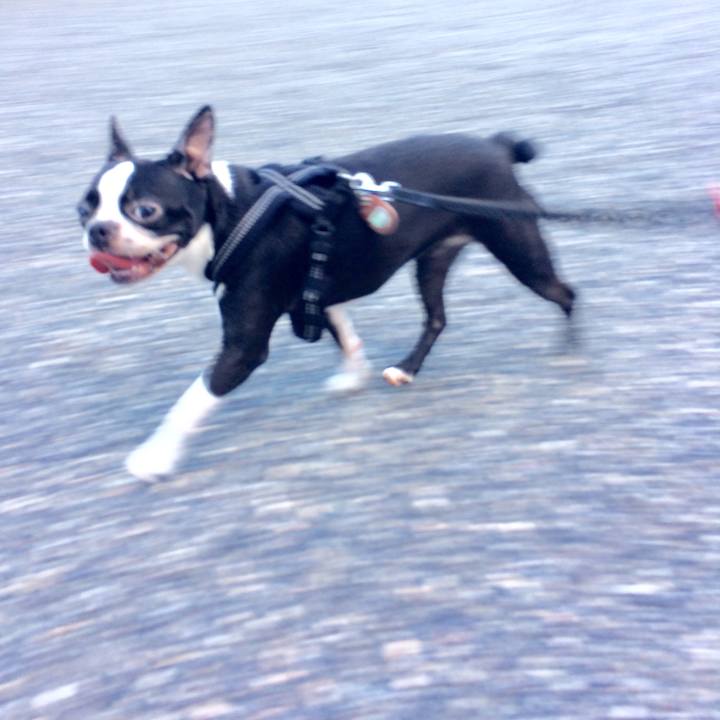 F7658d04 0df9 4a6a b53e af48df99fc5e