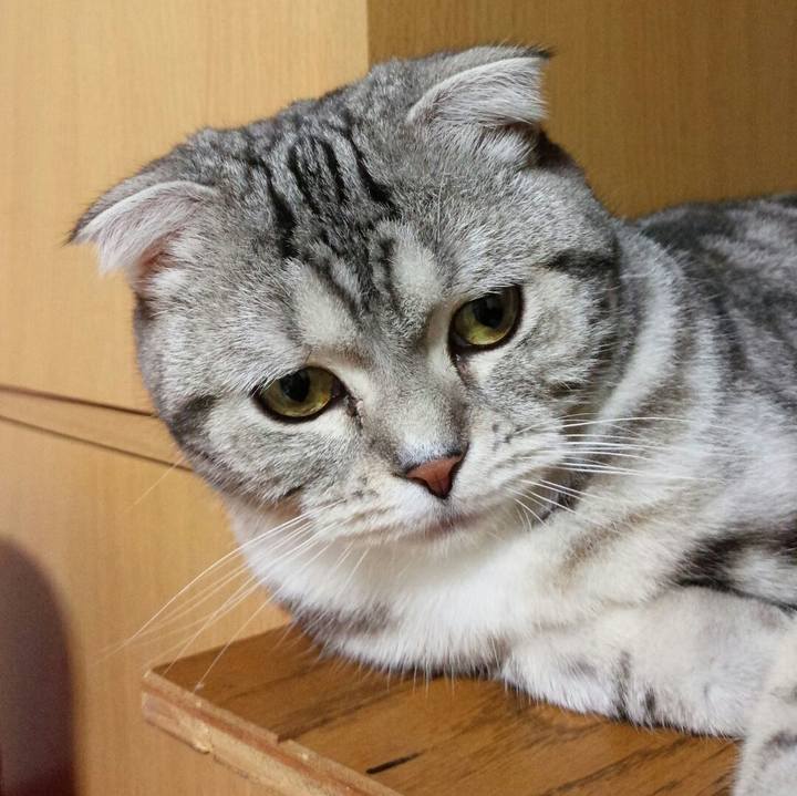 F7659f32 91f3 4122 965e 01876b4cba7e