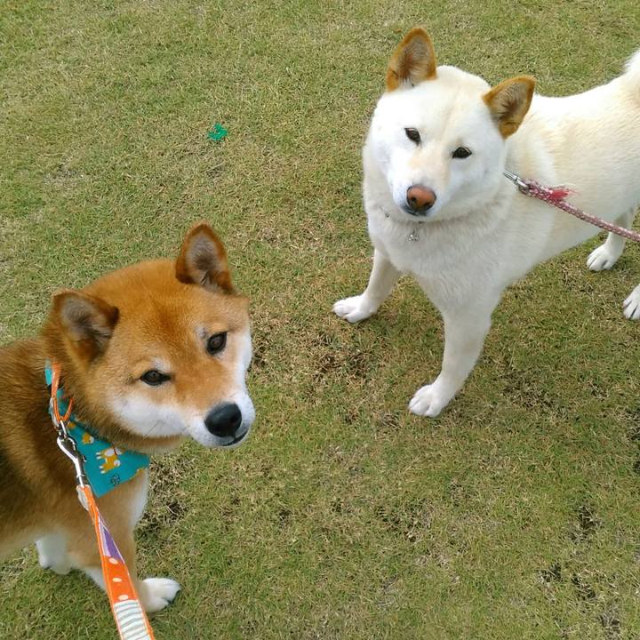 F765ab68 5f2e 4dd5 9acc 03ea32a74de7