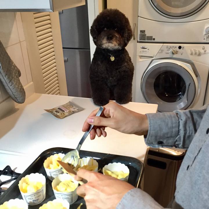 F76617de 81f8 402b 963a fe6f9b1f1f60