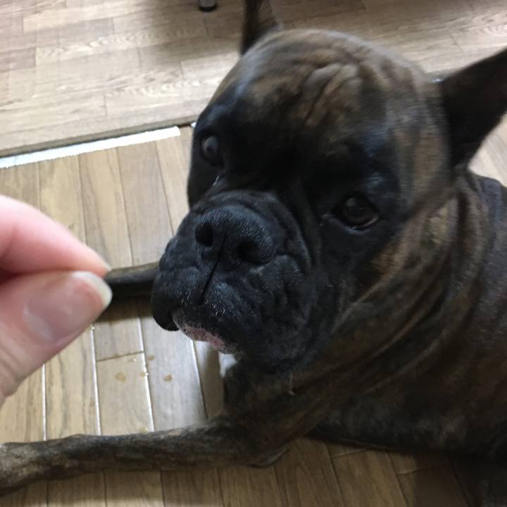 F766c95f eacd 43c4 8ccc fdf7b2a77ca7