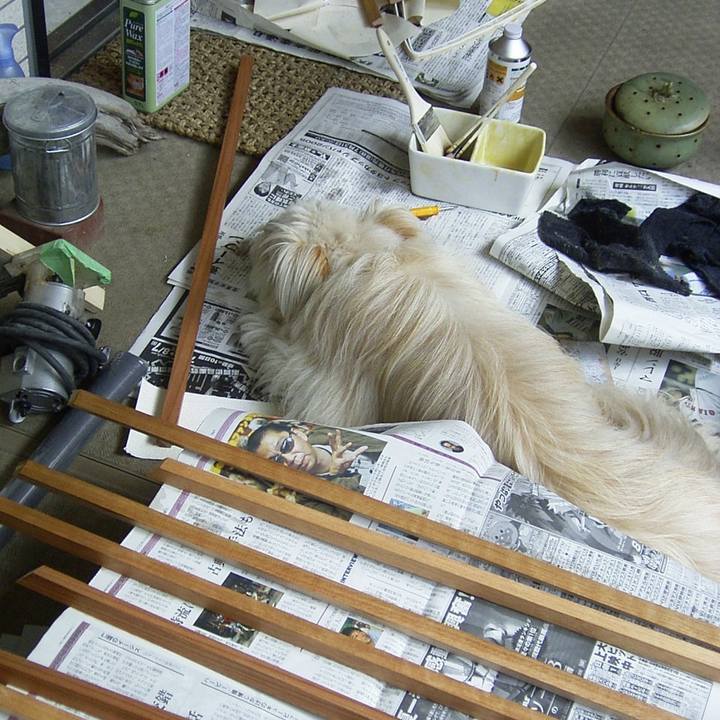 F7672367 0b6f 47c6 9f14 a174231d6d72