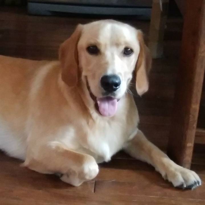 F767714b 8203 4a9a b680 1e55082b4e68