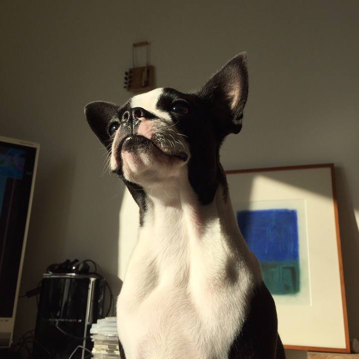 F7677d76 e796 426e ae12 342dad10a5f2