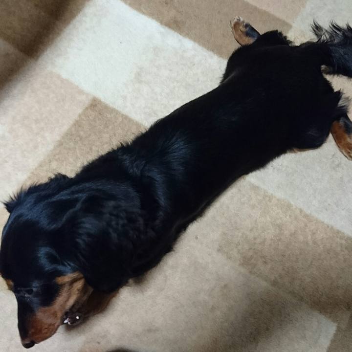 F76788e9 8ef7 4733 ad89 3ccd0cbf4f68