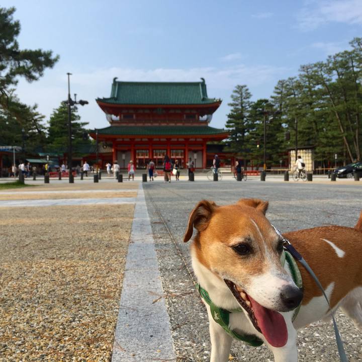 F7684238 1379 4712 976f 01692a7e612a