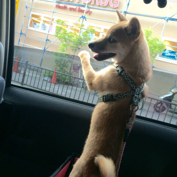 F7688827 c262 4d81 bfe4 0f54cbf3aa71