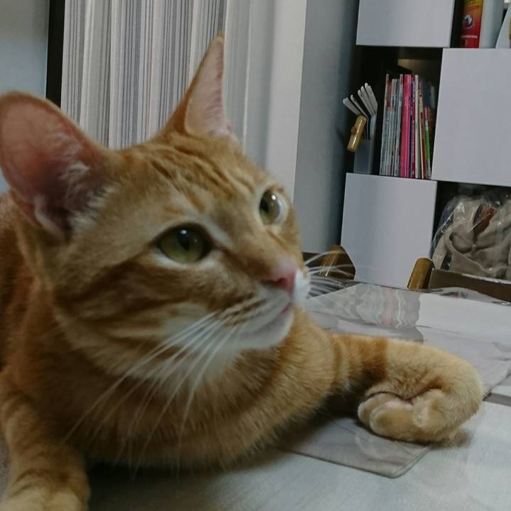 F768ee45 a637 4ab1 9cb6 a4923c5ad4ec