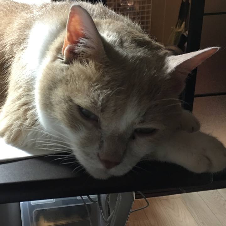 F7698e1d db84 4fc2 bf14 fc38240a4715