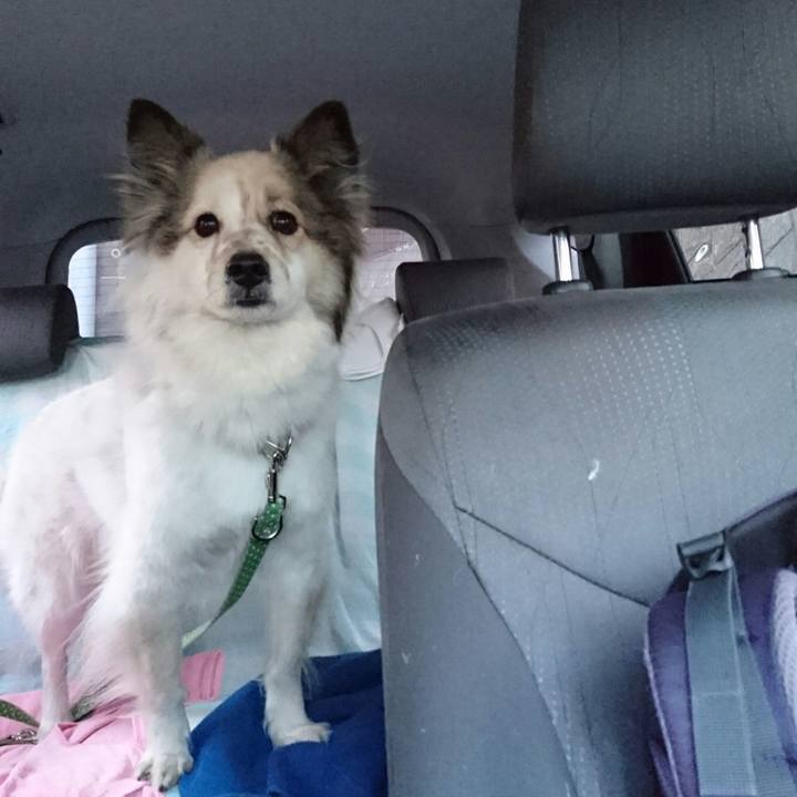 F76a2ad8 4b98 4a93 b730 e92fbc88dc59