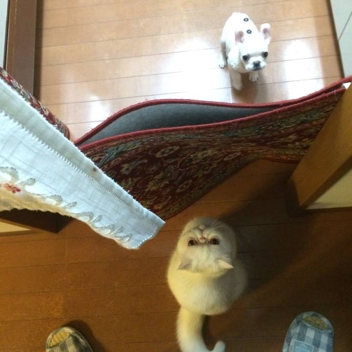 F76be515 1f03 4603 9ad0 a855749c2f0b