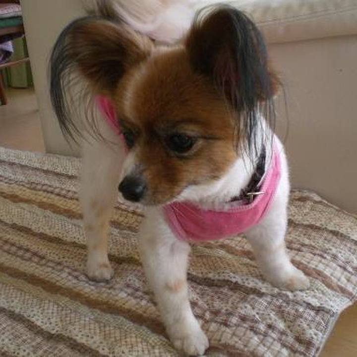 F76d7c57 a39c 4c36 a09b fcbac55fde45