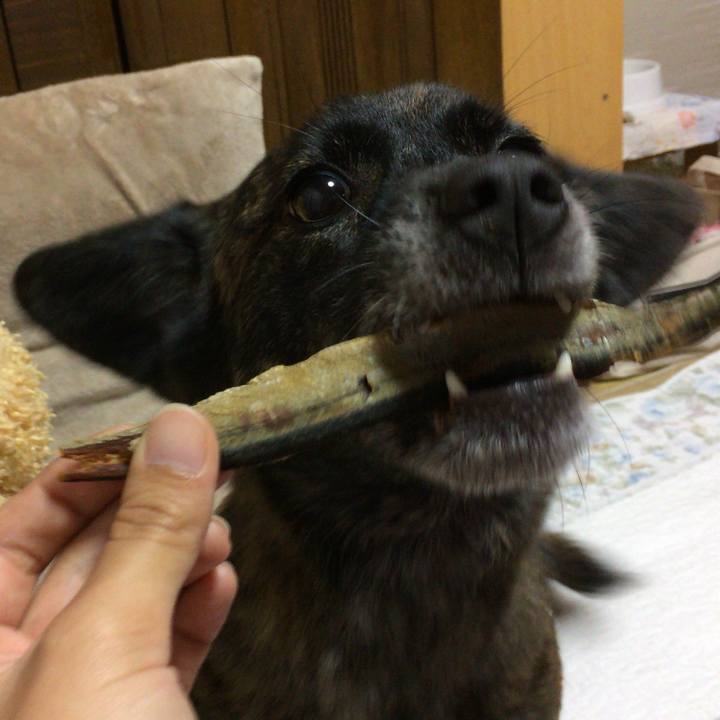 F76db07f 9e99 416f a287 ca5e606432ee