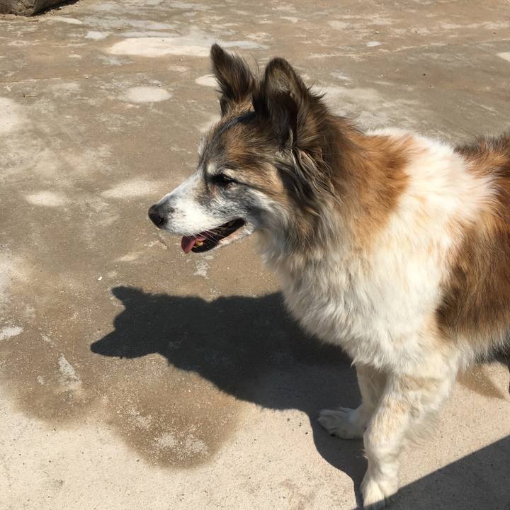 F76dbe3f 9bbd 42cd 9979 6da031933c40