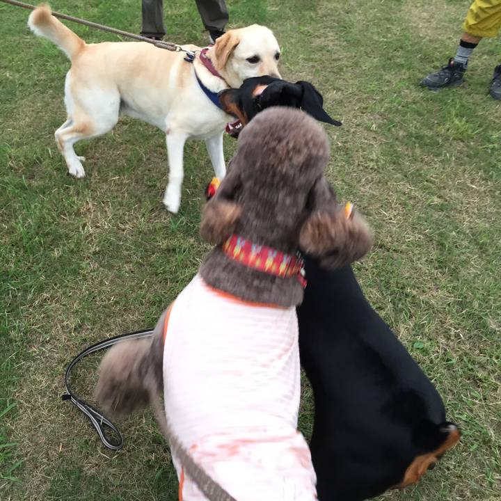 F76e1a5b 3d9d 4c31 bfc8 237b22f4a598