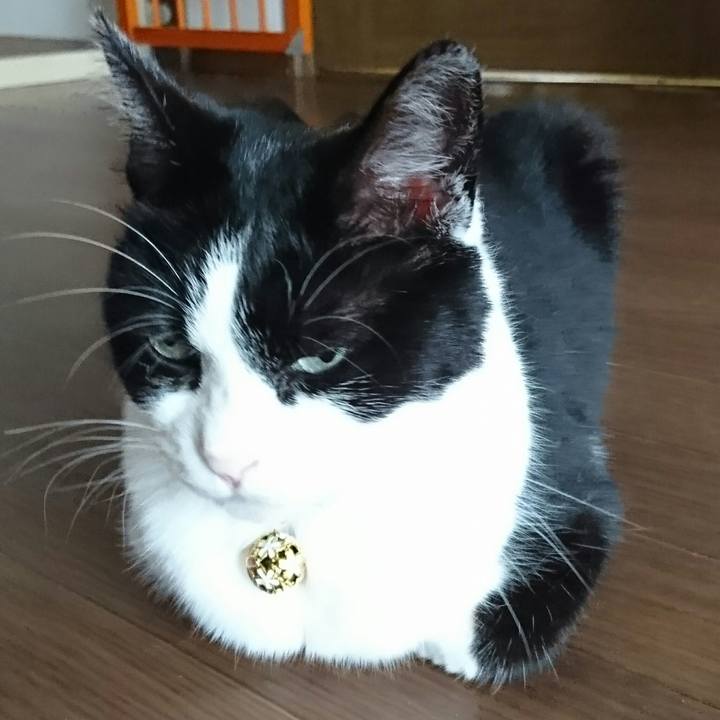 F76e89e6 f397 4bf1 8652 d31f45829358