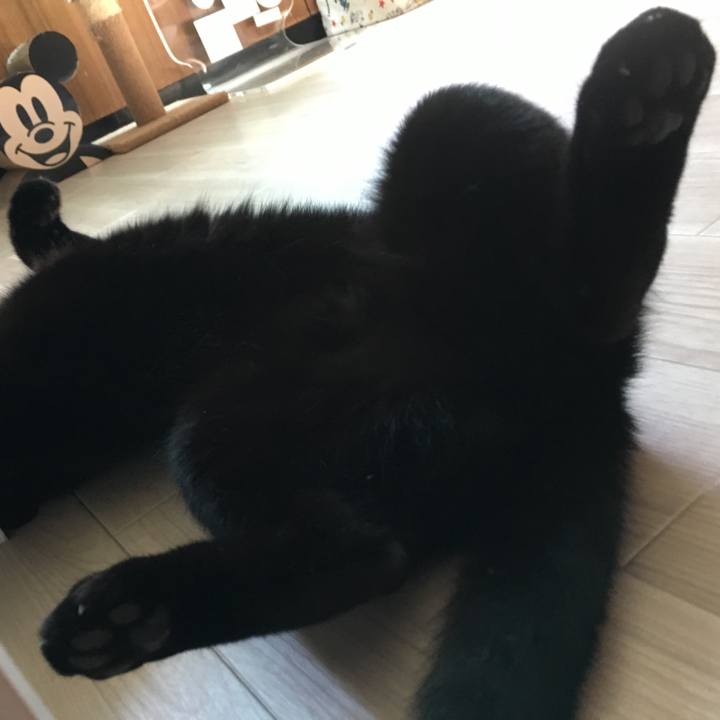 F76ec007 783c 47c5 9a90 ce848a570e05