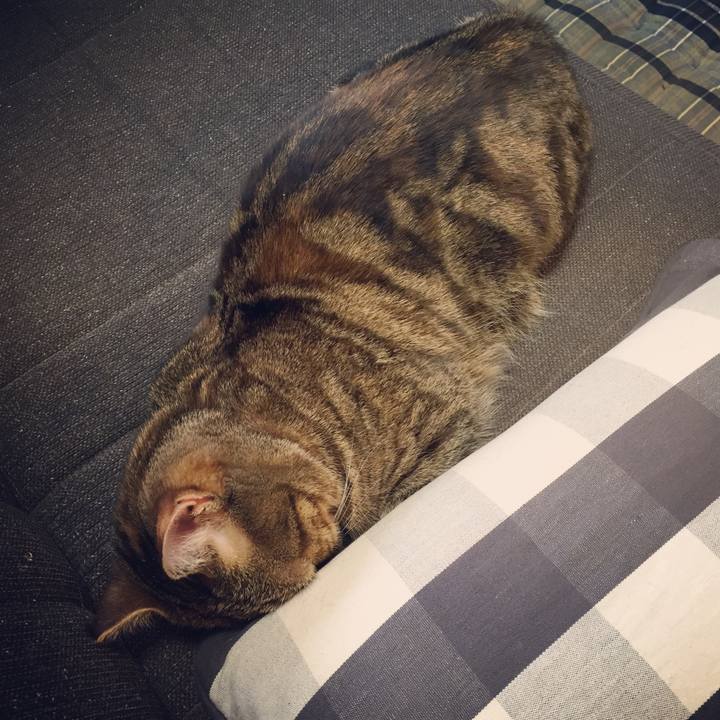 F77043be f9b1 49b7 8333 384ad3a1567d