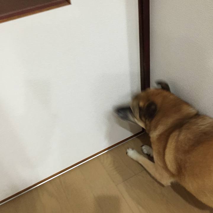 F770441c 7c41 4e7f 8d82 cb51f839bc7a