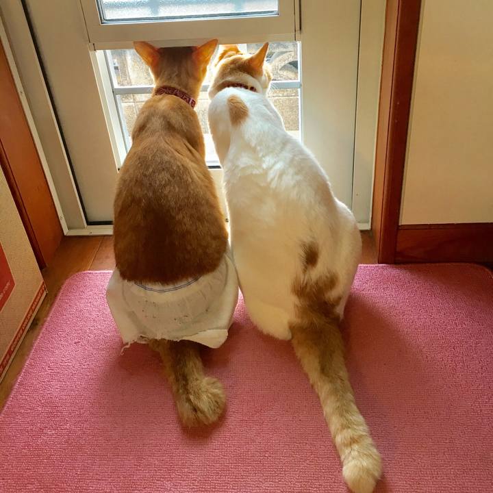 F7705b33 1ff2 4e8f a734 25ac3351457b