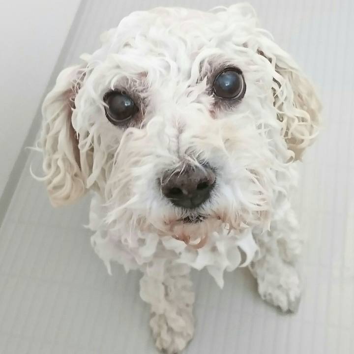 F77094e0 2324 457a 951f 463a0a8a2818